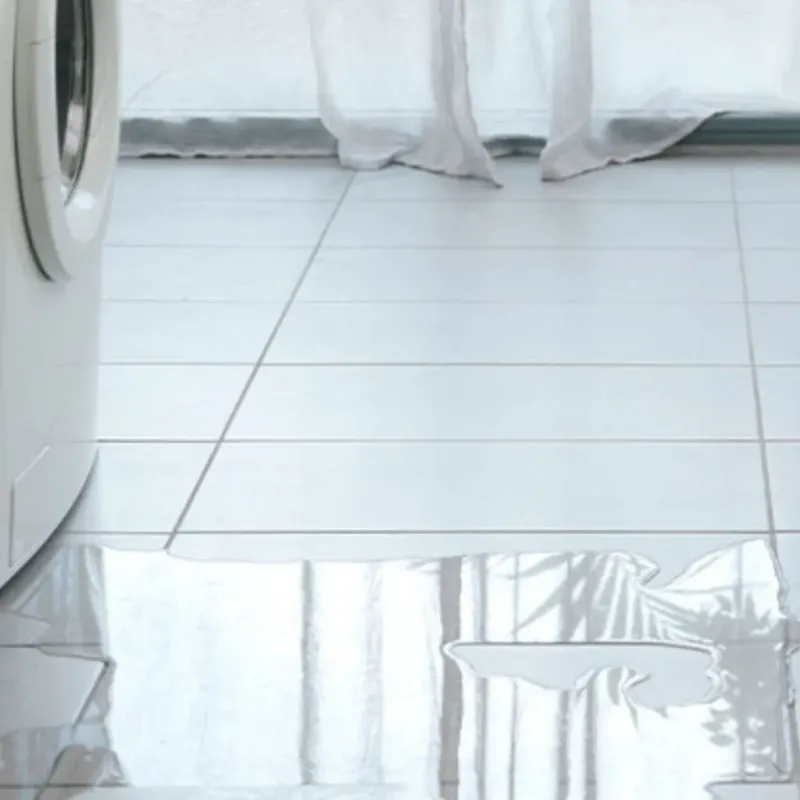 Appliance Leak Cleanup in Lenoir County, NC