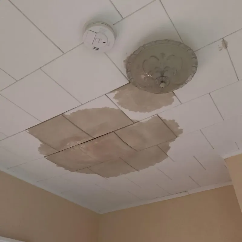 Ceiling Water Damage Repair in Lenoir County, NC