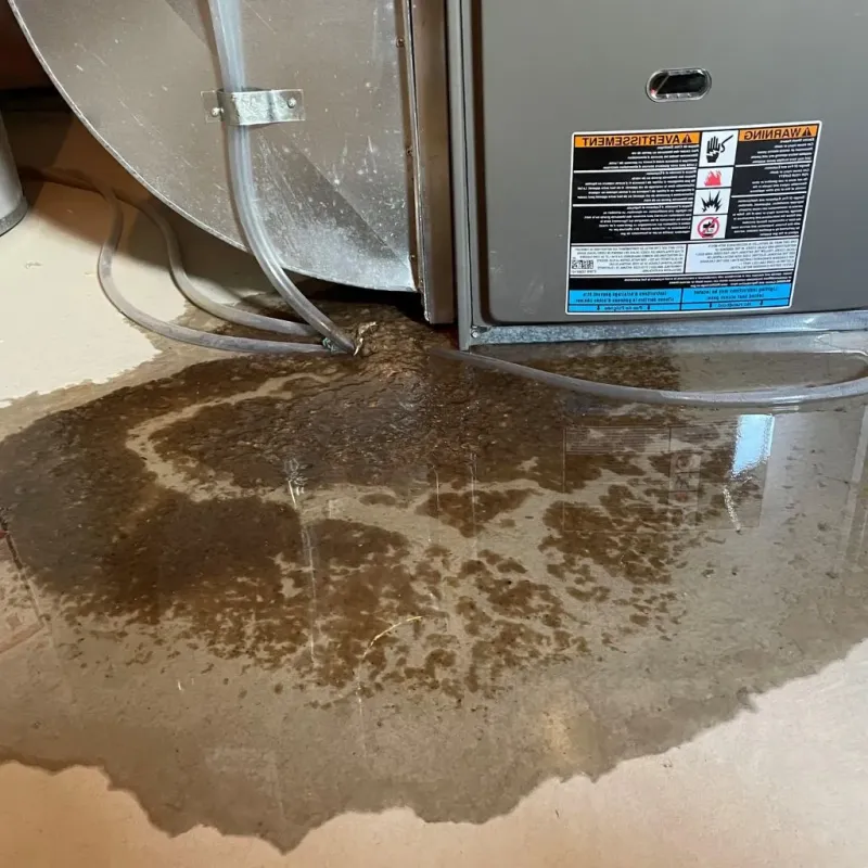 Pipe Burst and Leak Restoration in Lenoir County, NC