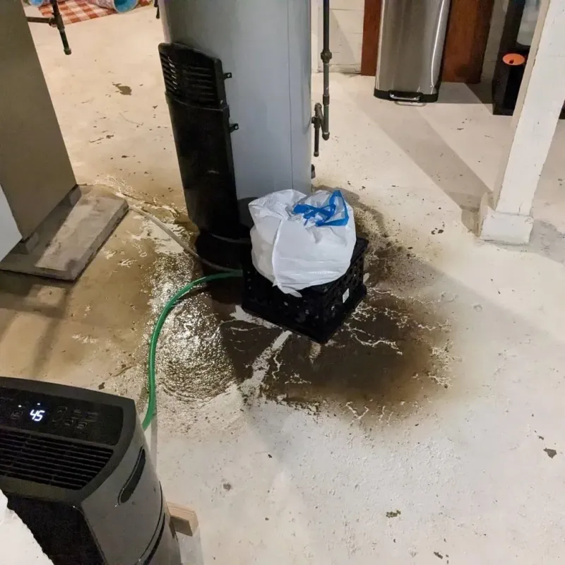 Sewage Backup Cleanup Service in Lenoir County, NC